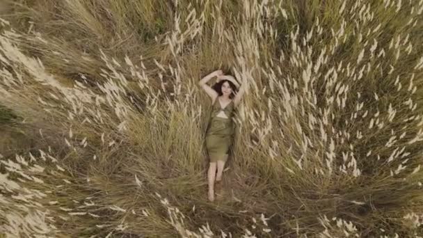 Frau Mädchen Das Goldenen Stacheln Aus Federgras Liegt Sommerferien Luftaufnahme — Stockvideo