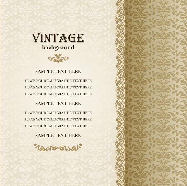 Design de cartão vintage vetorial, Layout de capa com borda de renda ornamental — Vetor de Stock