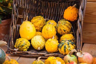 Sonbahar kabak hasat arka plan