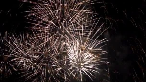 Espectáculo pirotécnico de fuegos artificiales increíble — Vídeos de Stock