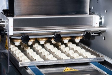 Makine yatırmak bisküvi