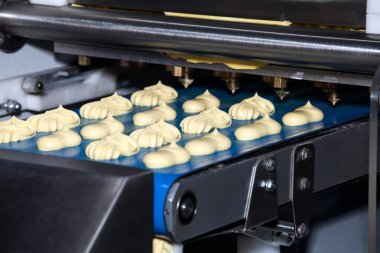 Makine yatırmak bisküvi