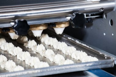 Makine yatırmak bisküvi