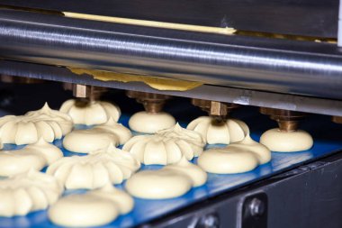 Makine yatırmak bisküvi