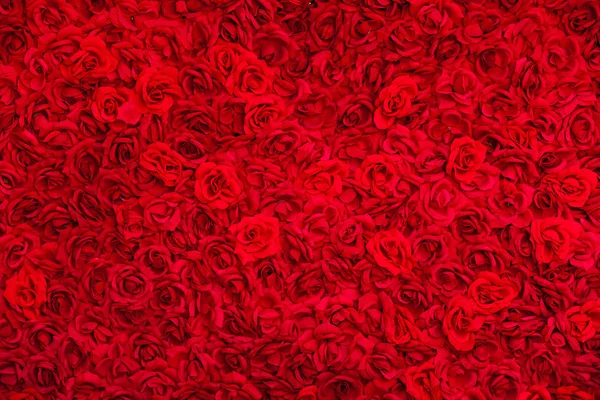 Dywan róż tle — Zdjęcie stockowe