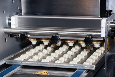 Makine yatırmak bisküvi