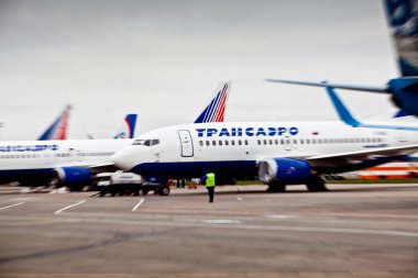 Sheremetyevo Uluslararası Havaalanı'nda Transaero havacılık şirketi