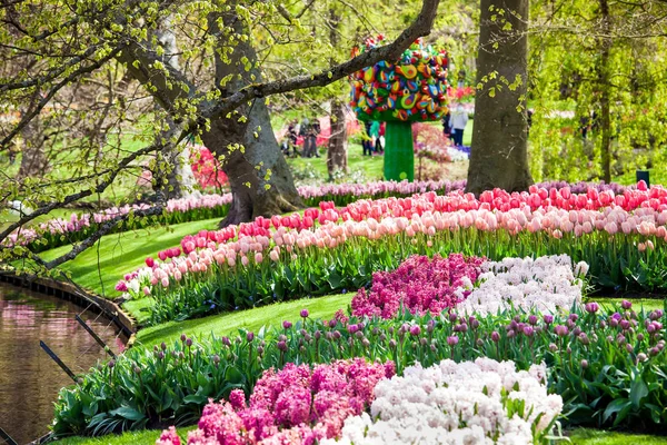 Colorful tulips in Keukenhof park — Stock Photo, Image