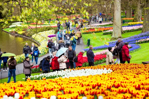 Tourists walking throung colorful tulips on the river bank in Keukenhof park in Amsterdam area, Netherlands. Spring blossom in Keukenhof — Stock Photo, Image