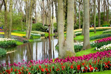 Throung renkli Lale Keukenhof park alanında Amsterdam, Hollanda nehir kıyısında yürürken turistler. Keukenhof bahar çiçeği