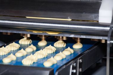 Makine yatırmak bisküvi