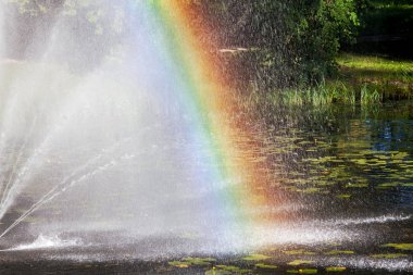 Renkli gökkuşağı görünümü