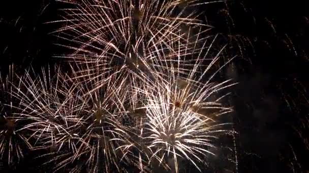 Kleurrijke pyrotechnische show — Stockvideo