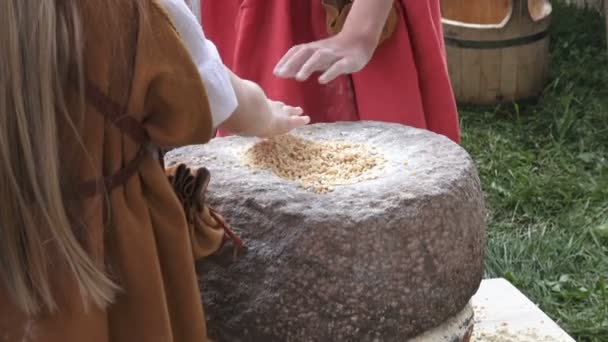 Experimental grinding and ancient flour production — Stock Video