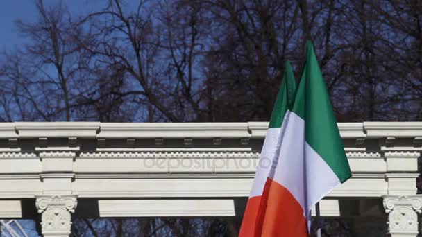Bandera irlandesa ondea — Vídeos de Stock