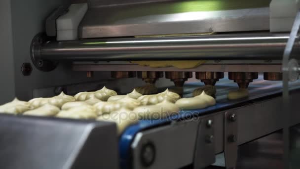 Bakkerij industrie machine — Stockvideo