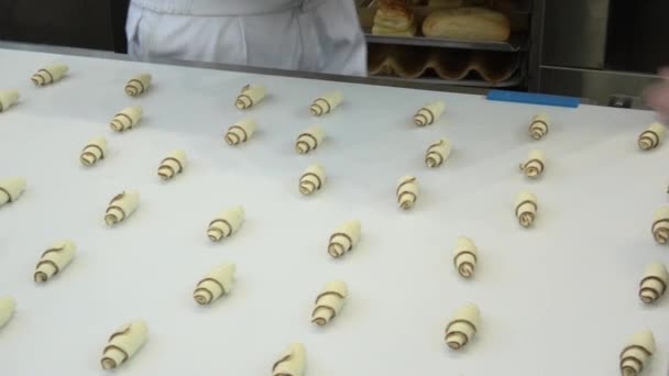 Man tar croissanter från transportband och sätter dem på brickan — Stockvideo