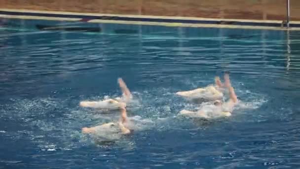 Water team sports, girls synchronized swimming — Stock Video