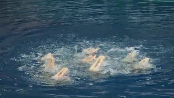 水チーム スポーツ、女の子シンクロナイズド スイミング — ストック動画