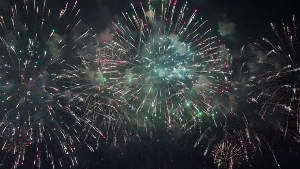 Firework pyrotechnic show — Stock Video