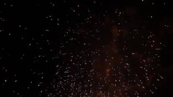 Colorido espectáculo pirotécnico de fuegos artificiales — Vídeo de stock