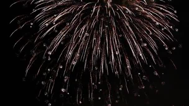 Spettacolo pirotecnico colorato di fuochi d'artificio — Video Stock