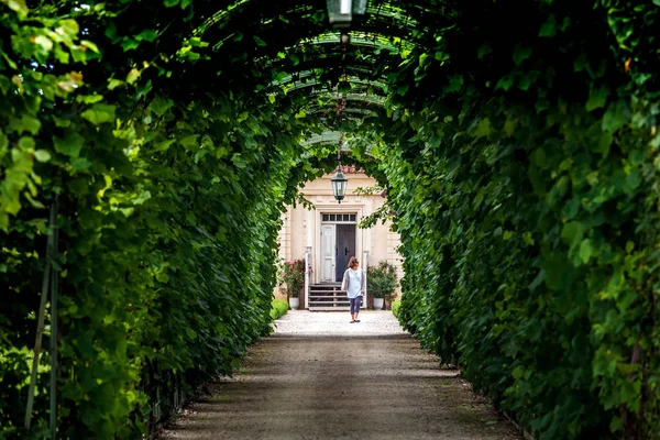 Arcos de jardim verde e caminho. Jardinagem: Materiais e Acessórios em Rundale Palace, Letónia — Fotografia de Stock