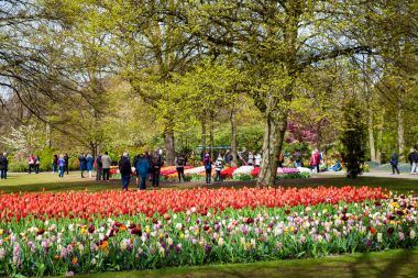 Ziyaretçi bahar çiçeği Keukenhof park alanında Amsterdam, Hollanda.