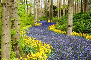 çiçek alan arka plan