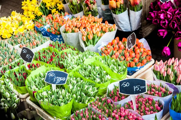 Bouquets of tulips — Stock Photo, Image