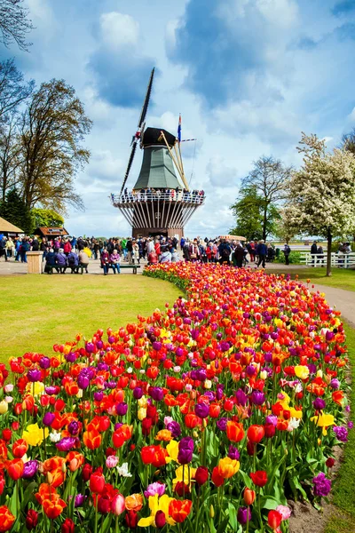 Mulino a vento decorativo nel parco Keukenhof. Turisti che camminano in fiore colorato campo di tulipani — Foto Stock