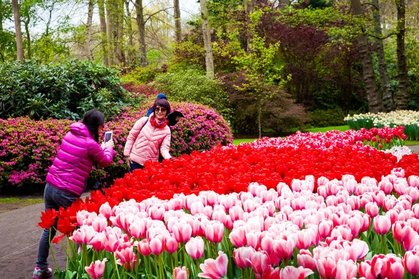 Turistler çiçeği renkli Lale alan Keukenhof parkta yürüyüş — Stok fotoğraf