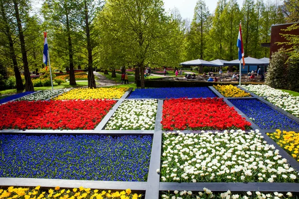 アムステルダム周辺地域、オランダのキューケンホフ公園で色とりどりのチューリップ。キューケンホフで春花 — ストック写真