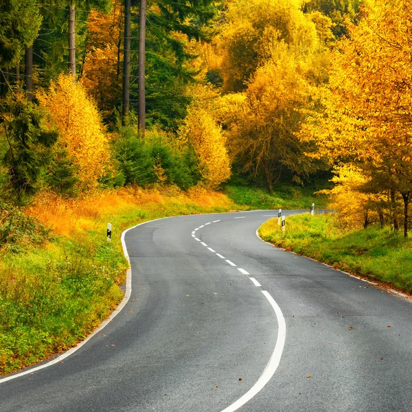 Az őszi erdő festői szépségű úton — Stock Fotó