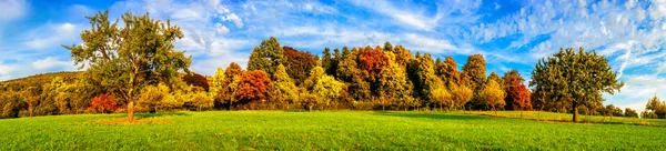Prado e árvores coloridas no outono — Fotografia de Stock