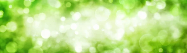 Groene gebladerte bokeh met glinsterende hoogtepunten — Stockfoto