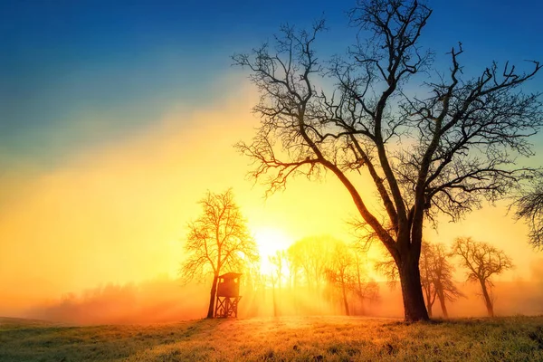 Барвистий схід сонця в ідилічному сільському ландшафті — стокове фото