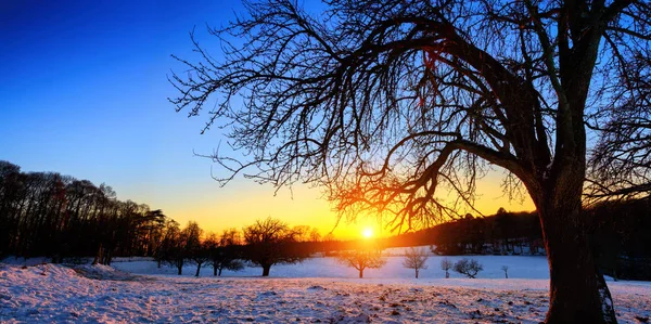 Зимовий пейзаж на заході сонця — стокове фото