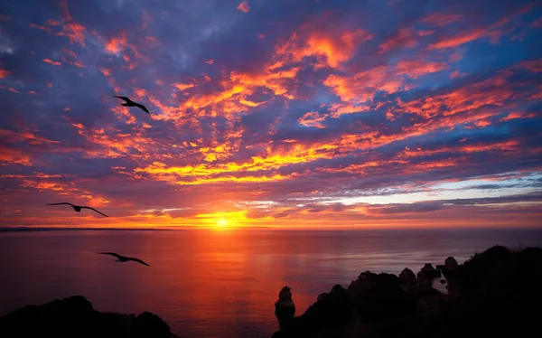 Prachtige Zonsopgang Boven Oceaan Met Prachtige Rode Wolken Silhouetten Van — Stockfoto