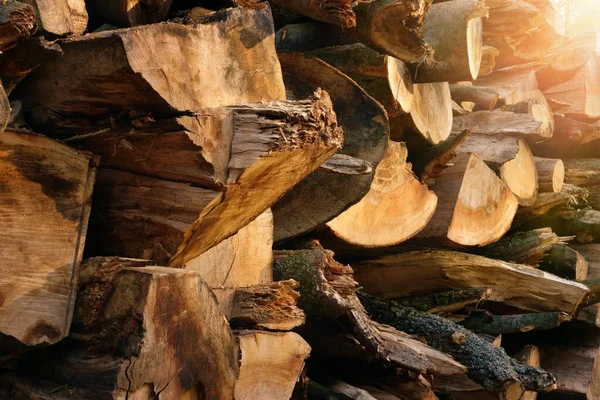 Outdoor Shot Stacked Pile Firewood Lit Beautiful Warm Rays Sunlight — Stock Photo, Image