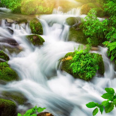 Su akıntıları güzel bir şekilde dağlık bir ormandan geçen küçük bir nehirden aşağı dökülüyor, kare biçiminde ve soyut akışa uzun süre maruz kalıyor.