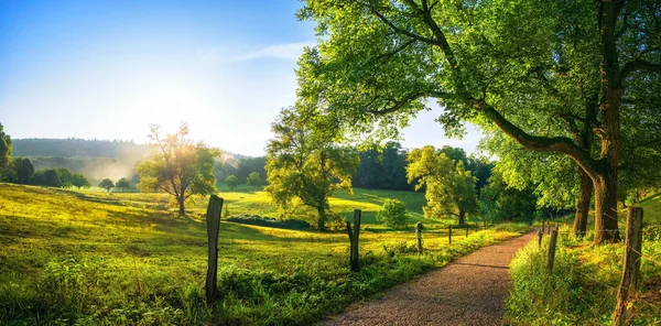 Paisaje Rural Con Sendero Árboles Prados Sobre Colinas Cielo Azul —  Fotos de Stock