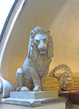 Çok sıkı aslan.