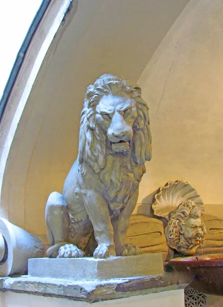 Çok sıkı aslan.