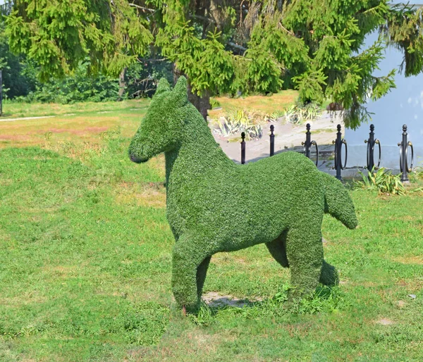 Yeşil at Suzdal park içinde