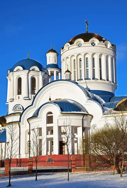 俄罗斯 莫斯科 2018年1月 所有莫斯科圣人教会的片断 建于2003 2015 的俄罗斯 拜占庭风格与古典主义的元素 建筑师维克多 Zakharov — 图库照片