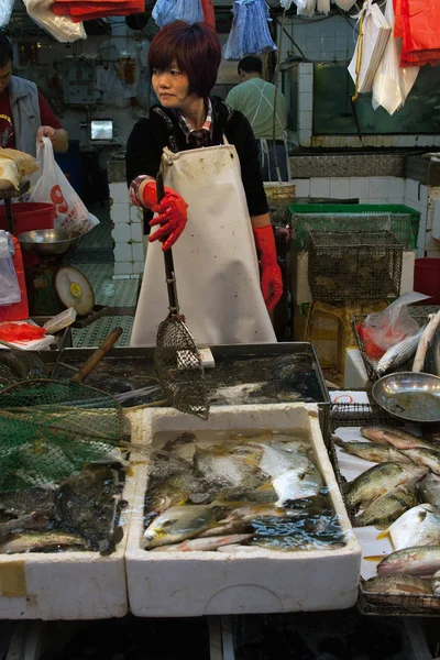 Vendedor de peixe verifica seu produto no mercado . — Fotografia de Stock