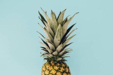 Renkli arka planda ananas taze meyvesi