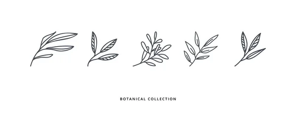 추상적 잎들은 모인다 일러스트 디자인 낙서와 스케치 — 스톡 벡터