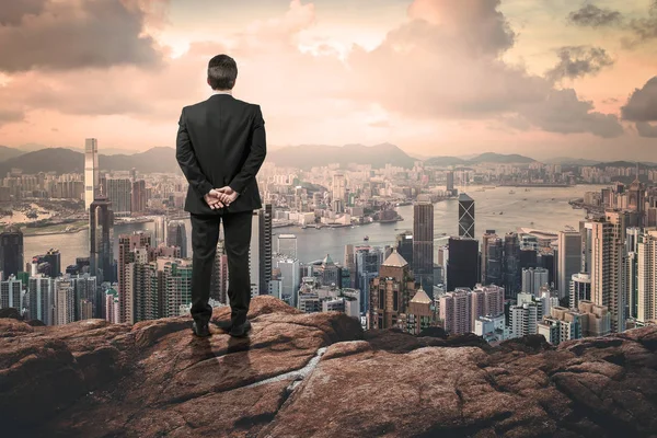 Hombre Negocios Mirando Ciudad Desde Colina — Foto de Stock